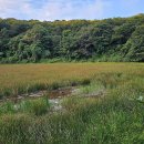 물영아리오름 이미지