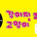 스타펫미팅 이미지