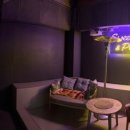 루미에르 이미지