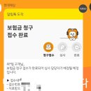 머즐 | 강아지 입마개 추천｜머즐 긴 푸들 훈련용 입마개 솔직 사용후기