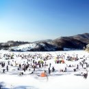 안성 동막골 빙어축제[~ 2013.02.17] 이미지