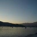 남해복어 이미지