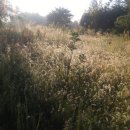 작천농장 이미지