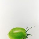 보타니컬아트(식물세밀화) 이미지