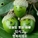 아침을 여는 축복의 기도 이미지