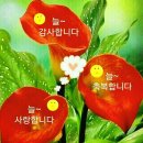 자연사랑펜션 네이버블로그