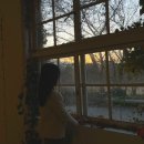 금화목장 이미지