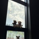 하이베어 풀빌라 이미지