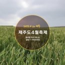 정인목장 | 제주도 4월 축제 총정리 : 봄바람 따라 떠나는 꽃향기 가득한 여행