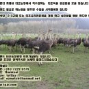 한국웰빙건강 이미지