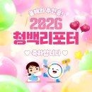 청백리로 | 국민권익위원회 2026 청백리포터 합격 후기