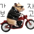 장터즉석치킨