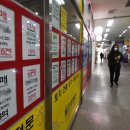 모아부동산중개사무소 서울신문