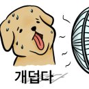 개미용실 이미지