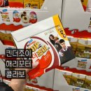 해리포터 덕후라면 무조건 사야 함! 코스트코 킨더조이 박스 후기