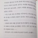 아마네
