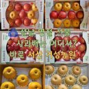 거성농원