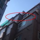 서울신월초등학교 이미지