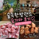 랜드숲 | 서울 숯가마 추천 숲속한방랜드 내돈내산 후기 신촌 고바우생고기