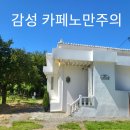 고양 노만주의 감성카페 애견동반 가능
