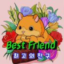 Friend-친구