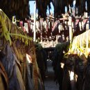 황태여행 이미지