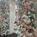 상록결혼정보 이미지