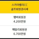 스카이엔지니어링주 이미지