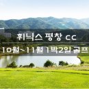 (주) 휘닉스미디어