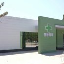 나진약국 이미지