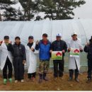 사랑의둥지 이미지