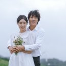 루카 스타뉴스