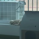 탁구 | 라떼는 자고 밥먹고 싱크대 .