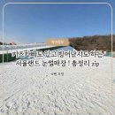 월드카정비 | 연간회원권으로 다녀온 서울랜드 눈썰매장 후기(ft.빙어낚시,키즈카페)