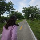 낙동강자전거길7 | 경남 밀양 여행 낙동강 자전거길 여유로운 산책