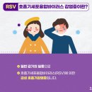 RSV바이러스가 유행하고 있어요!🤒 이미지