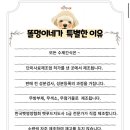 똘멍이네 이미지