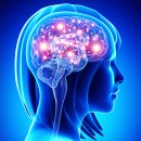 본 힐링하우스 이미지