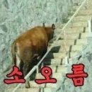 소오름