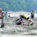 사곡마을(갯벌노을마을) 이미지