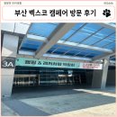 GS25 홍천대명기숙사점 | 부산 벡스코 캠페어 방문 솔직 후기 (전시부스 안내, 강아지 동반가능)