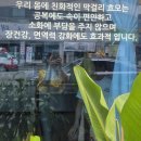 빵과밀