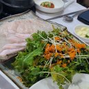 완도수산 | [대전 갈마동맛집] 완도수산 가성비좋은 야채막회 횟집 가족모임(대방어,우럭막회)