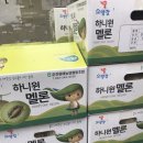 못골청과 네이버블로그