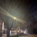 파리바게트 청주국립현대미술관점 | 서울 미술관 :: 서울 전시 추천 삼청 데이트코스 국립현대미술관 서울 (무료 전시)