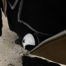 와이와이존 이미지