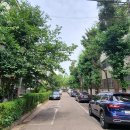 구로-구로-구로-1066 이미지