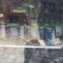 가평쉼뜰 단체독채 펜션 이미지