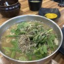 본가칼국수 | [대전맛집] 미소본가 스마일칼국수 내돈내산후기 | 손칼국수, 비빔칼국수