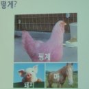 김종승 축사 | 소상공인 자영업자들의 희망모임 남양주스마트 73차 모임후기 및 74차 모임공지